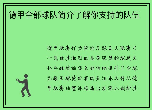 德甲全部球队简介了解你支持的队伍