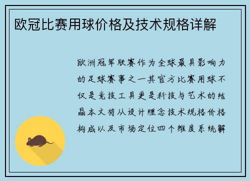 欧冠比赛用球价格及技术规格详解