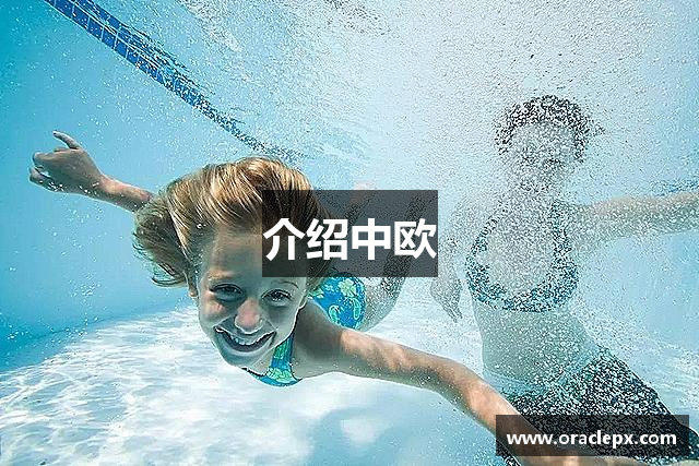 介绍中欧